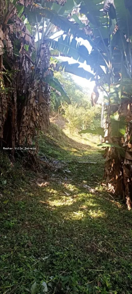 Terreno, 2 hectares - Foto 7