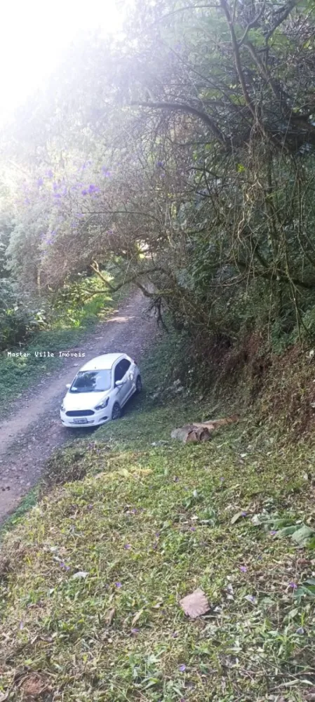 Terreno, 2 hectares - Foto 7