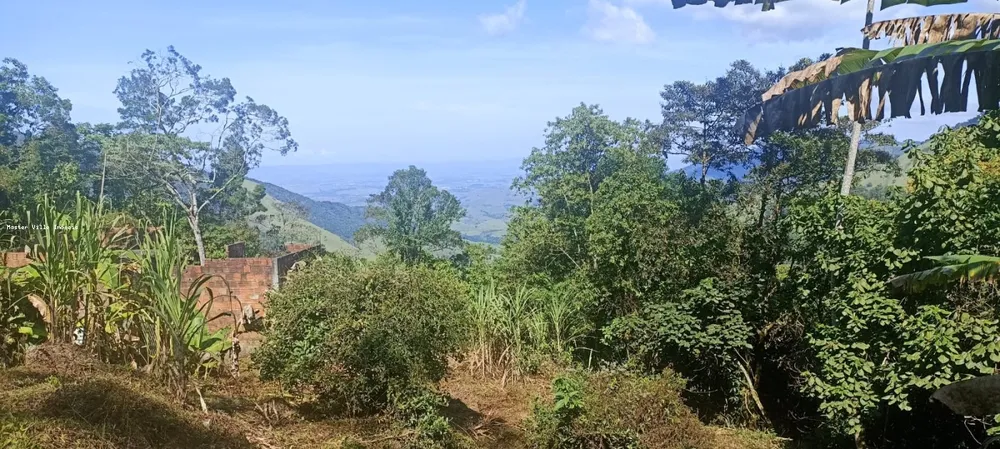 Terreno, 2 hectares - Foto 3