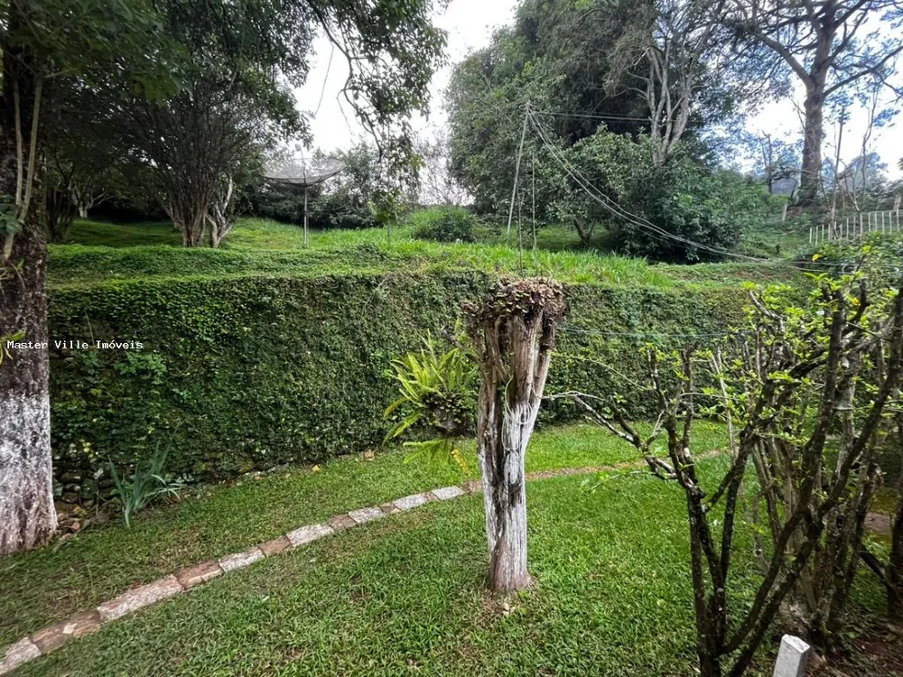 Chácara, 4 quartos, 4347 m² - Foto 6