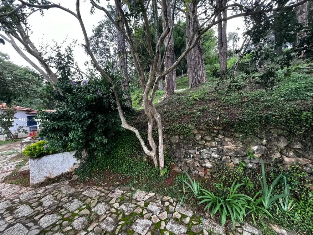 Chácara, 4 quartos, 4347 m² - Foto 7