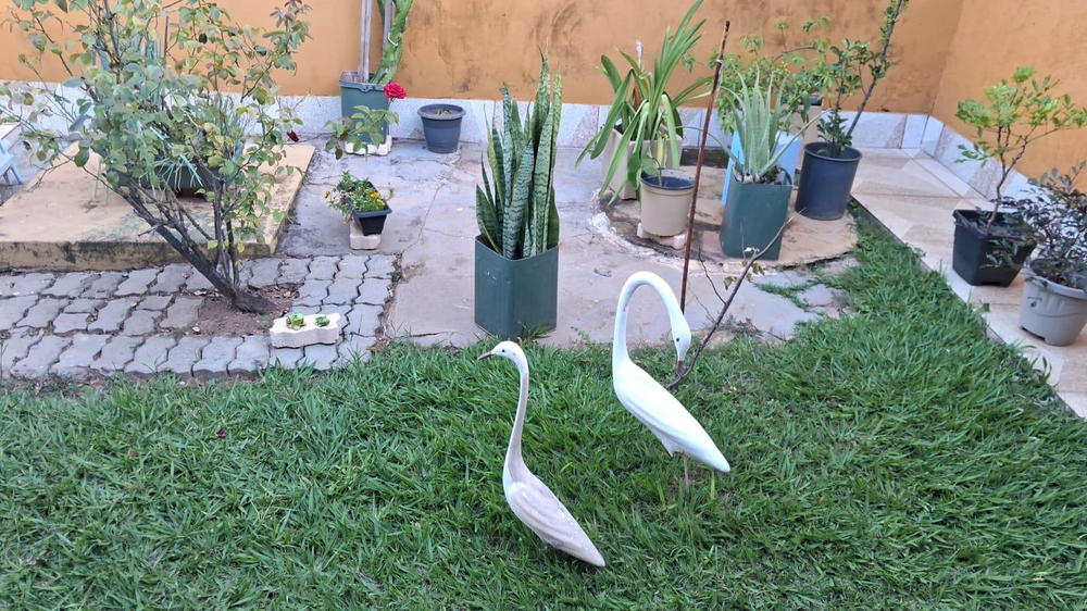 Casa à venda com 2 quartos, 200m² - Foto 1