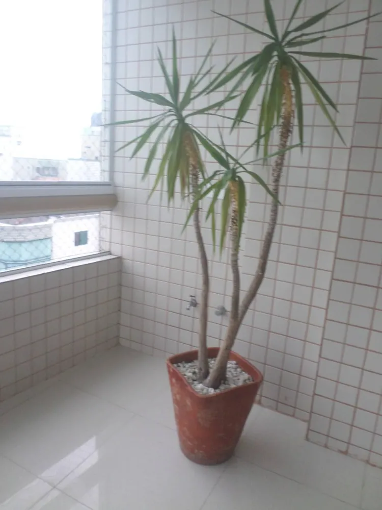 Cobertura, 3 quartos, 172 m² - Foto 5