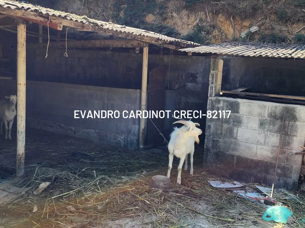 Apartamento, 4 quartos, 18000 m² - Foto 32