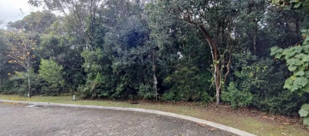 Terreno, 396 m² - Foto 6