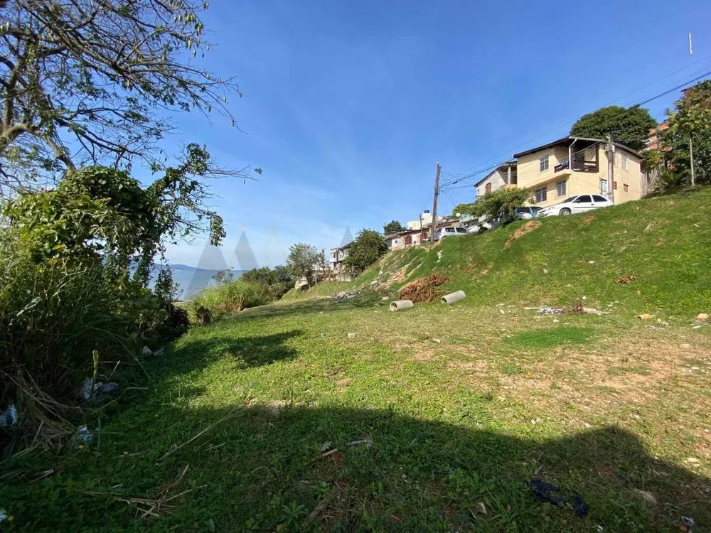 Terreno, 3664 m² - Foto 3