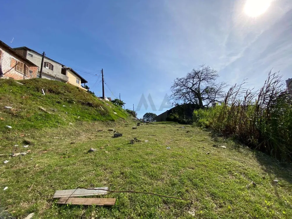 Terreno, 3664 m² - Foto 6