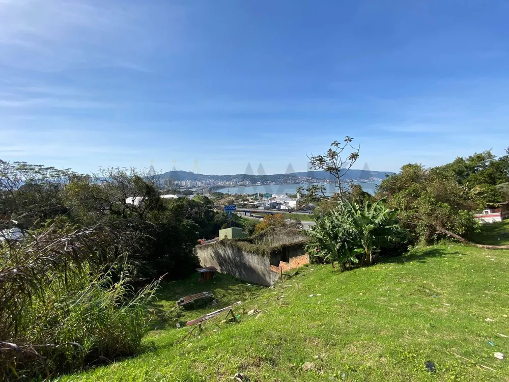 Terreno, 3664 m² - Foto 5
