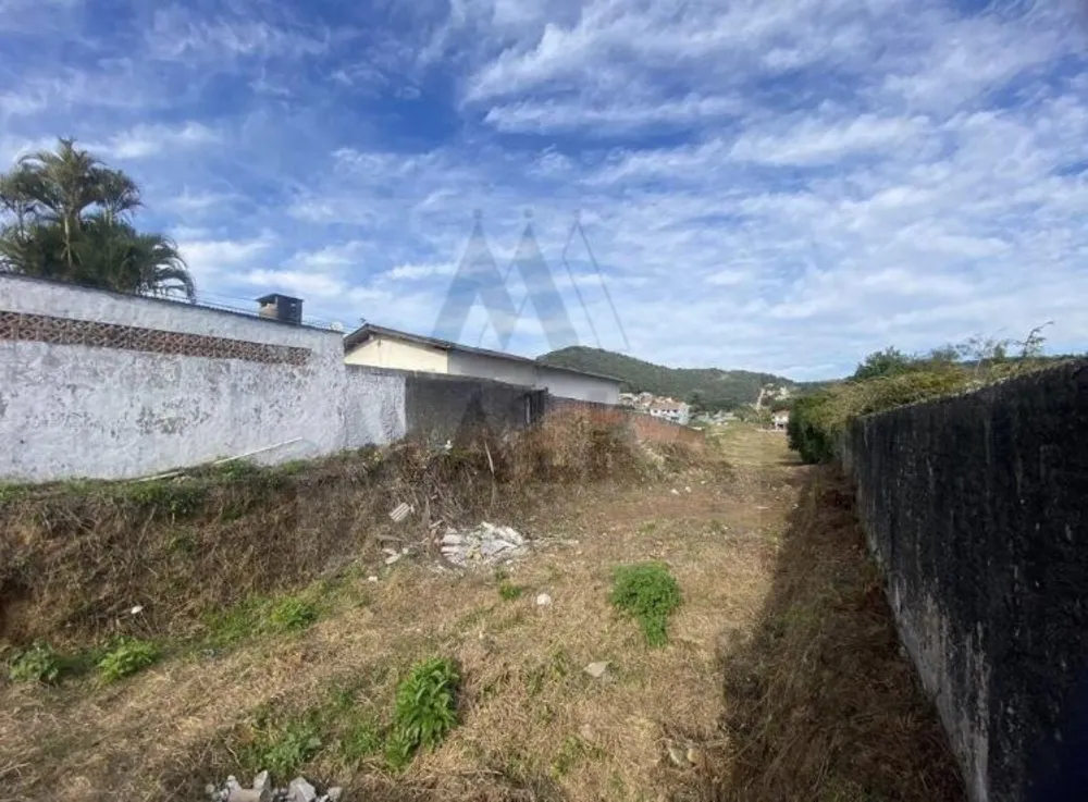 Terreno, 2203 m² - Foto 7