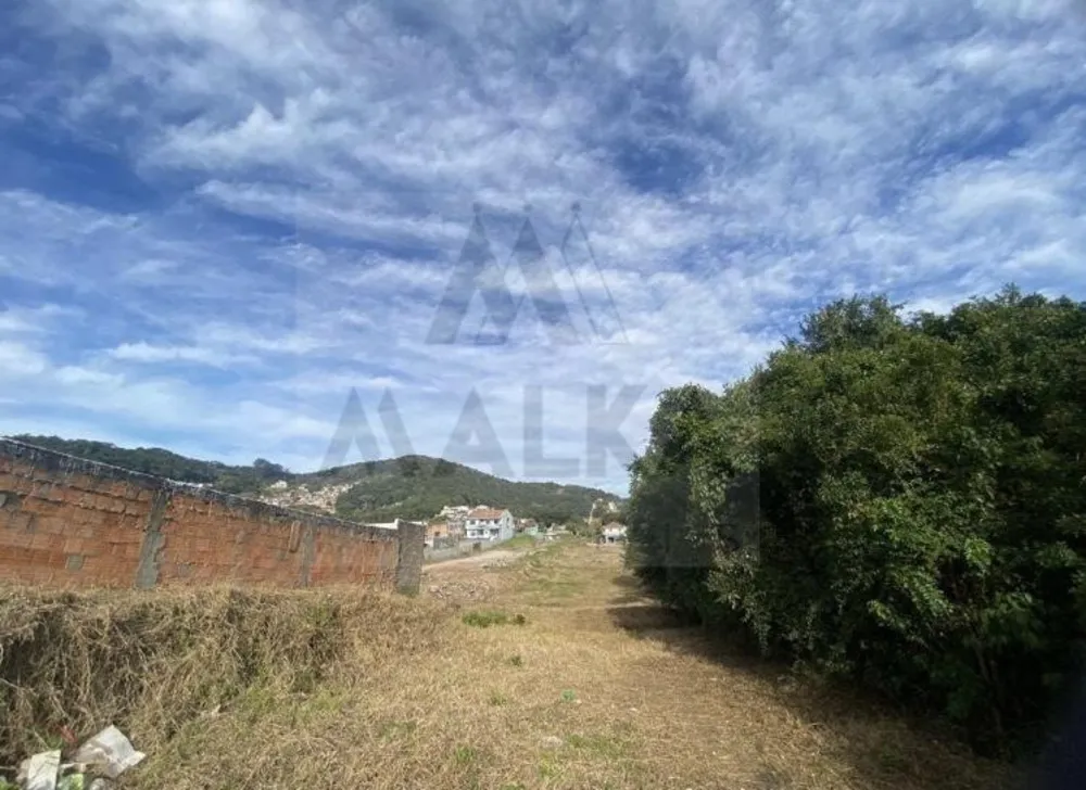 Terreno, 2203 m² - Foto 5