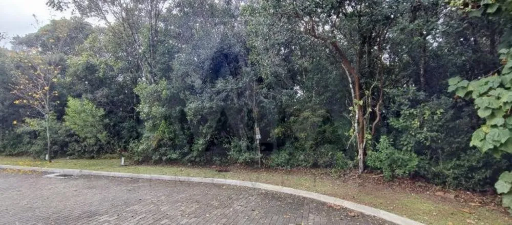 Terreno, 396 m² - Foto 5