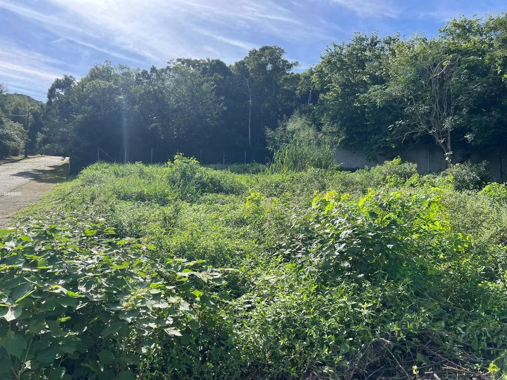 Terreno, 455 m² - Foto 9