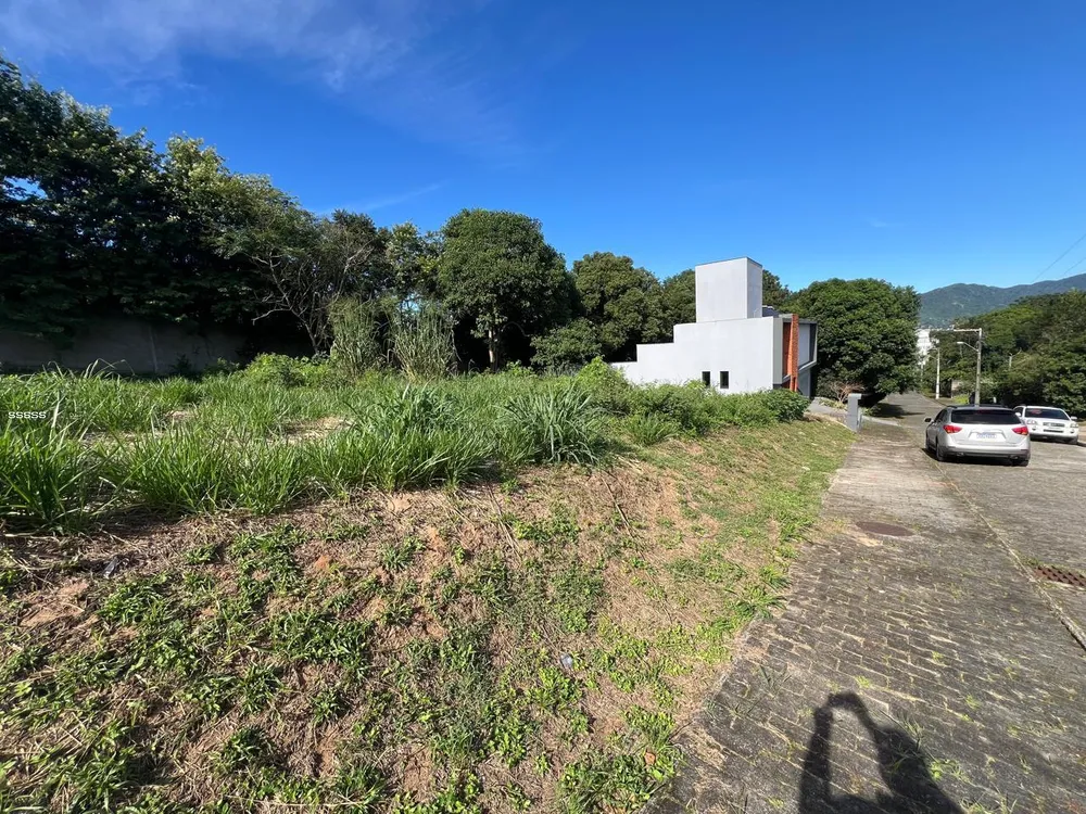 Terreno, 455 m² - Foto 7
