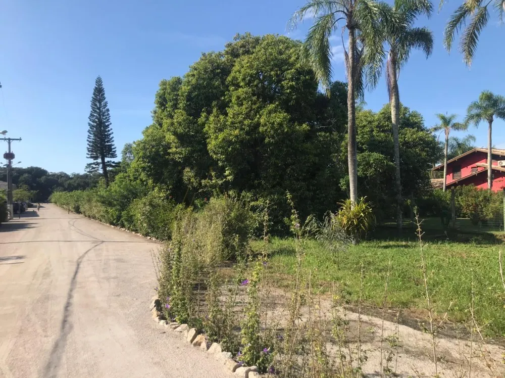 Terreno, 4458 m² - Foto 6