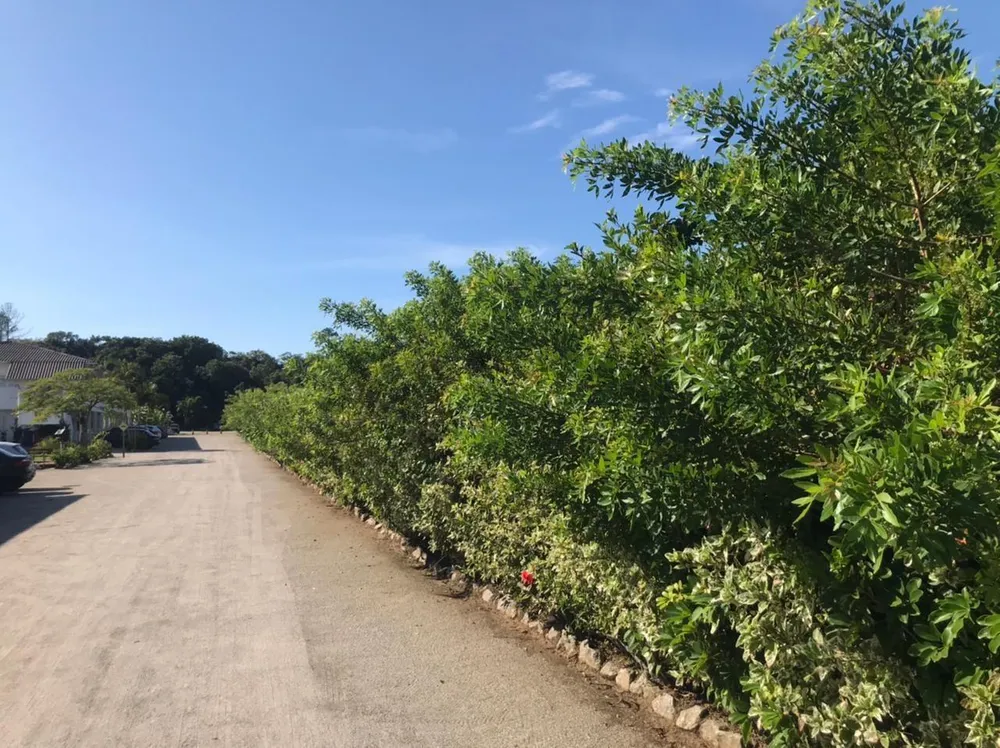 Terreno, 4458 m² - Foto 7