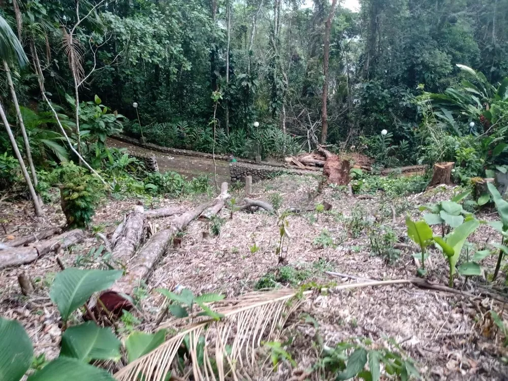 Loteamento e Condomínio, 893 m² - Foto 2