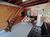Apartamento, 2 quartos, 85 m² - Foto 1
