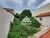 Casa, 3 quartos, 128 m² - Foto 14
