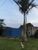 Chácara, 1 quarto, 1280 m² - Foto 2