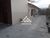 Casa, 3 quartos, 170 m² - Foto 3