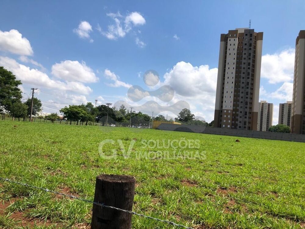 Terreno, 2 hectares - Foto 1