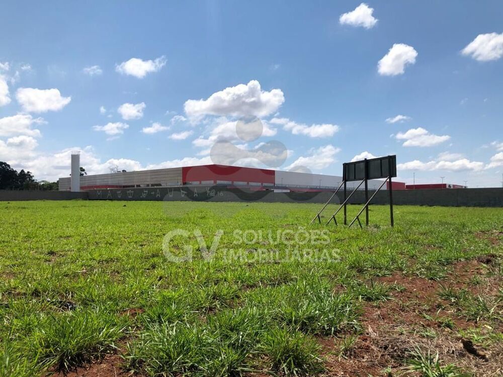 Terreno, 2 hectares - Foto 4