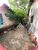 Casa, 3 quartos, 140 m² - Foto 3