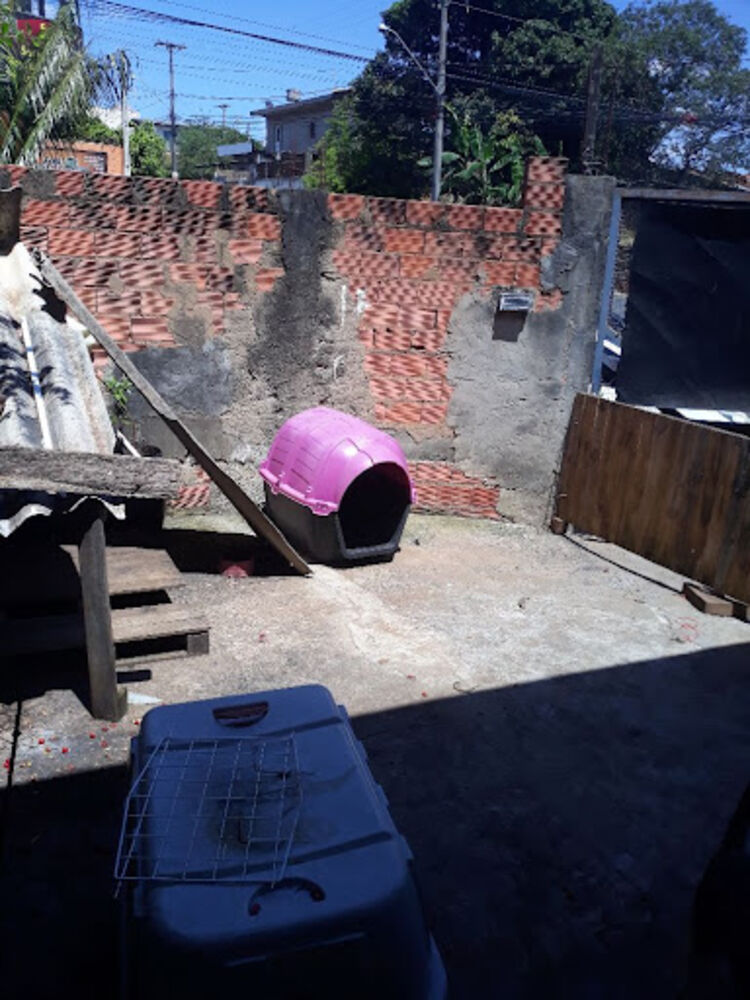 Casa, 4 quartos, 85 m² - Foto 5