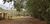 Terreno, 4 hectares - Foto 16