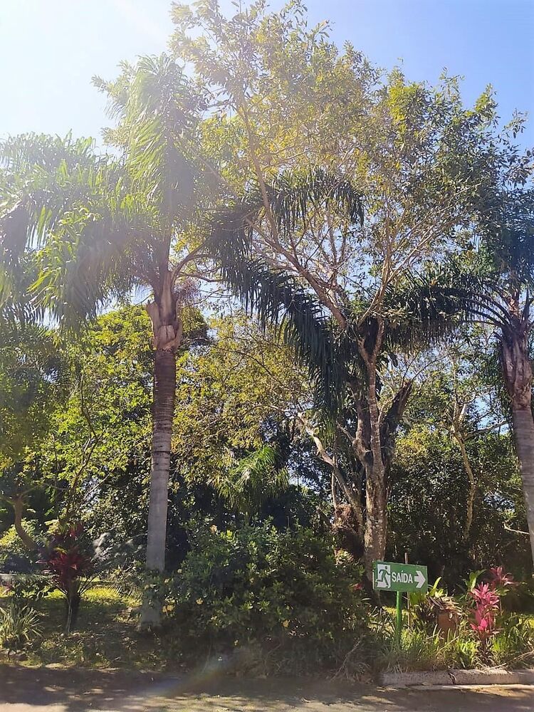 Loteamento e Condomínio, 2000 m² - Foto 5