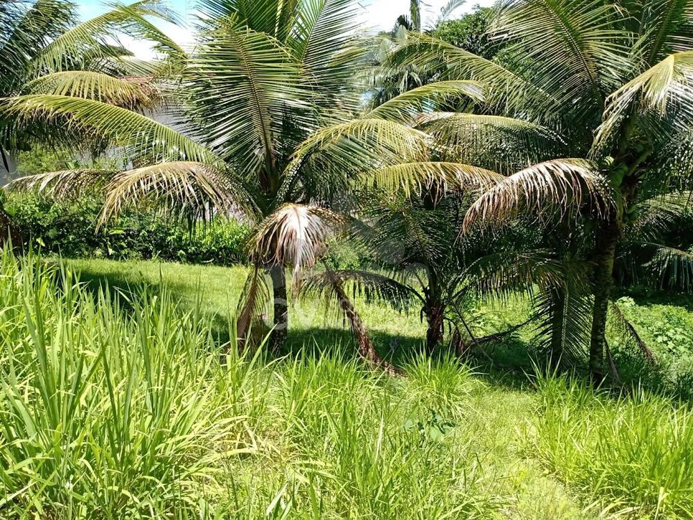 Loteamento e Condomínio, 601 m² - Foto 2