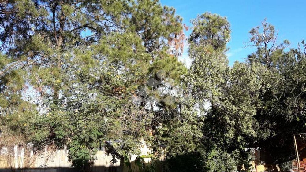 Chácara, 6 quartos, 1700 m² - Foto 6