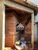 Casa, 3 quartos, 156 m² - Foto 8