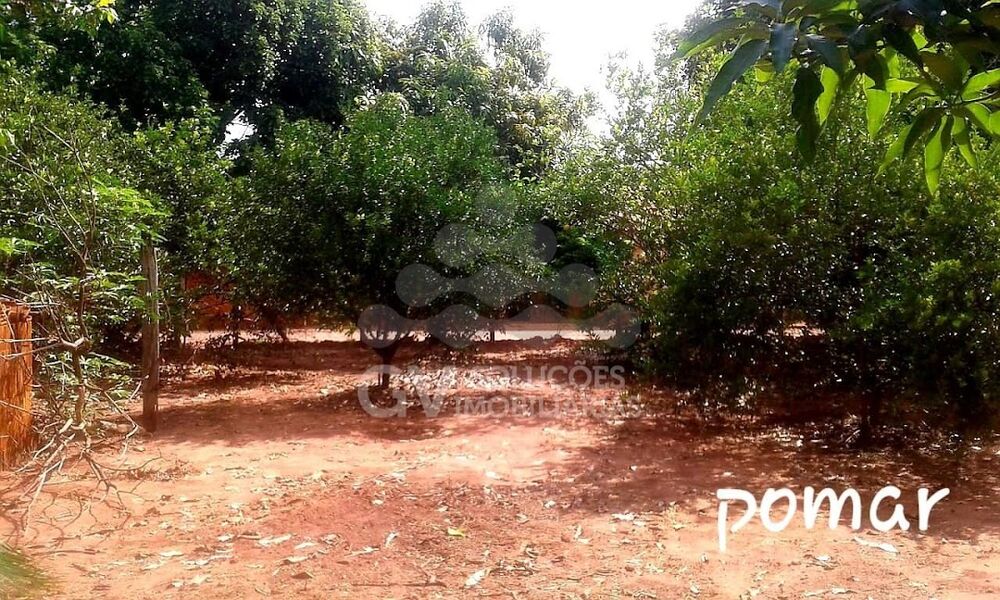 Chácara, 2 quartos, 1079 m² - Foto 5