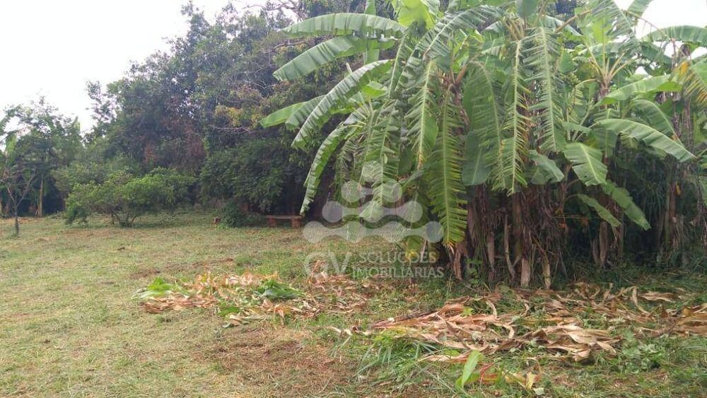 Terreno, 1000 m² - Foto 1