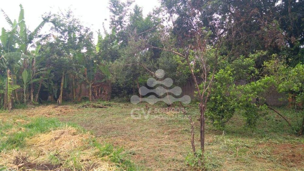 Terreno, 1000 m² - Foto 3