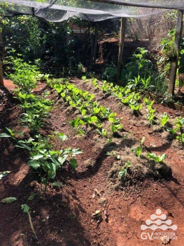 Chácara à venda com 2 quartos, 150m² - Foto 8