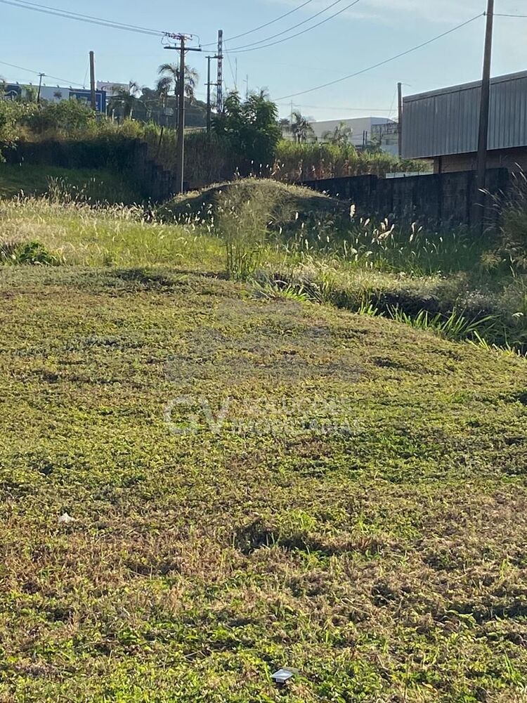 Terreno, 4761 m² - Foto 3