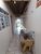 Casa, 1 quarto, 80 m² - Foto 3