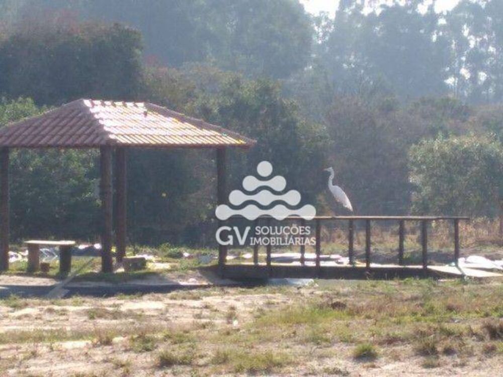 Sítio à venda com 5 quartos, 30000M2 - Foto 3