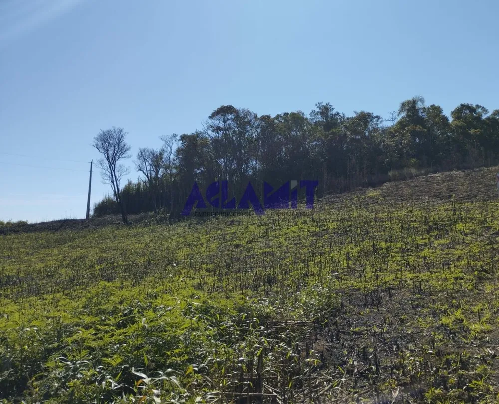 Loteamento e Condomínio, 4 hectares - Foto 2
