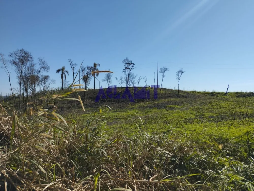 Loteamento e Condomínio, 4 hectares - Foto 1