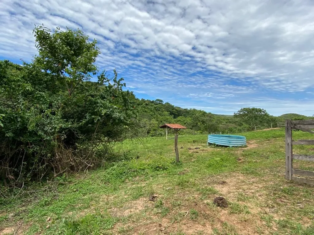 Fazenda, 214 hectares - Foto 4