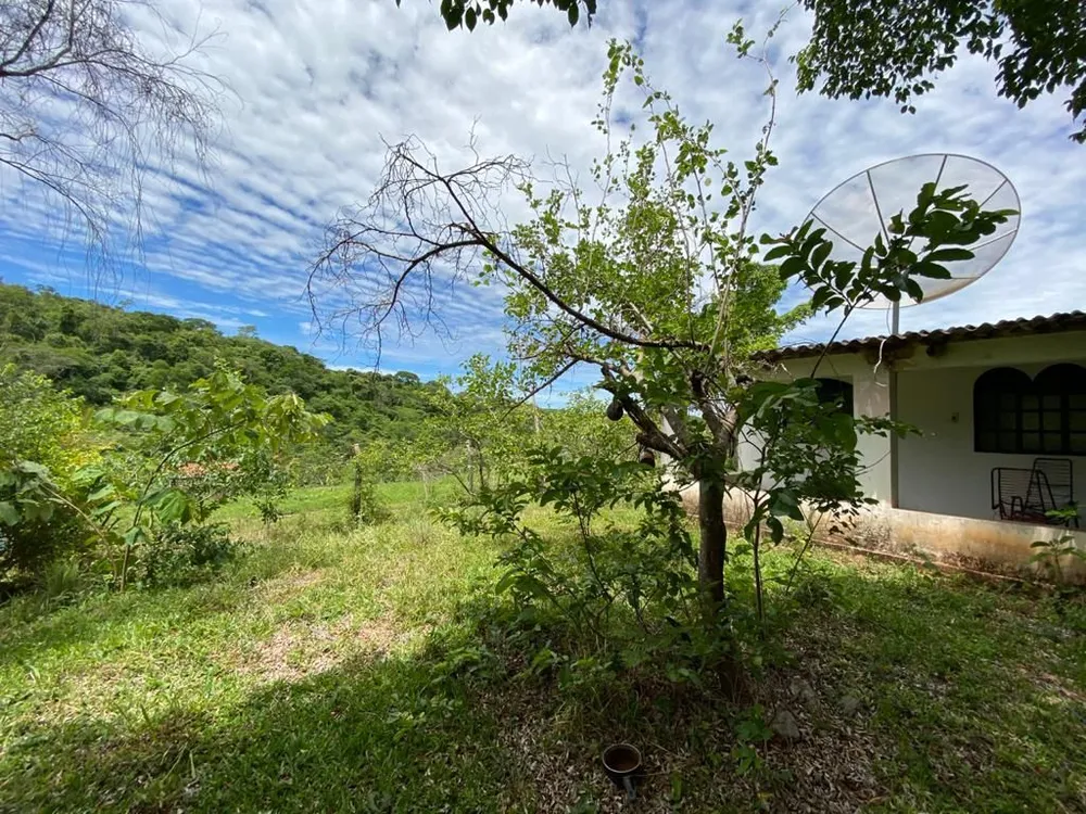 Fazenda, 214 hectares - Foto 2