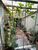 Casa, 3 quartos, 196 m² - Foto 3