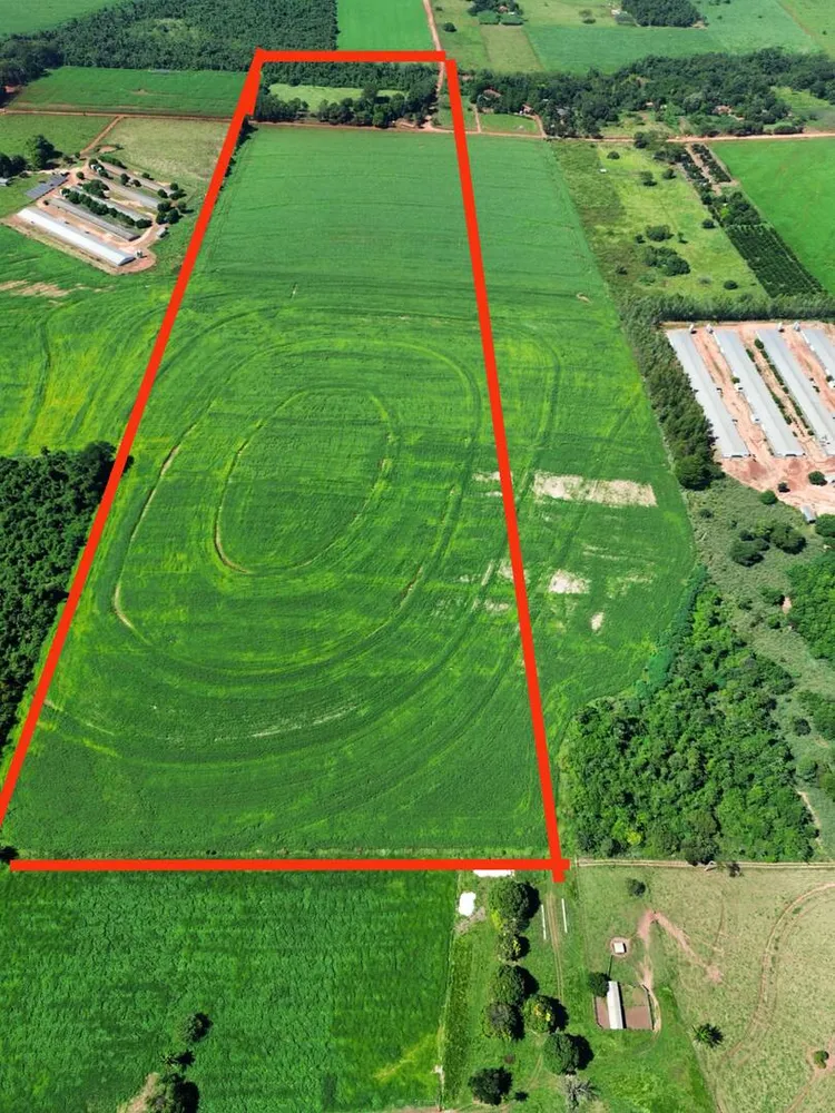 Terreno, 38 hectares - Foto 6
