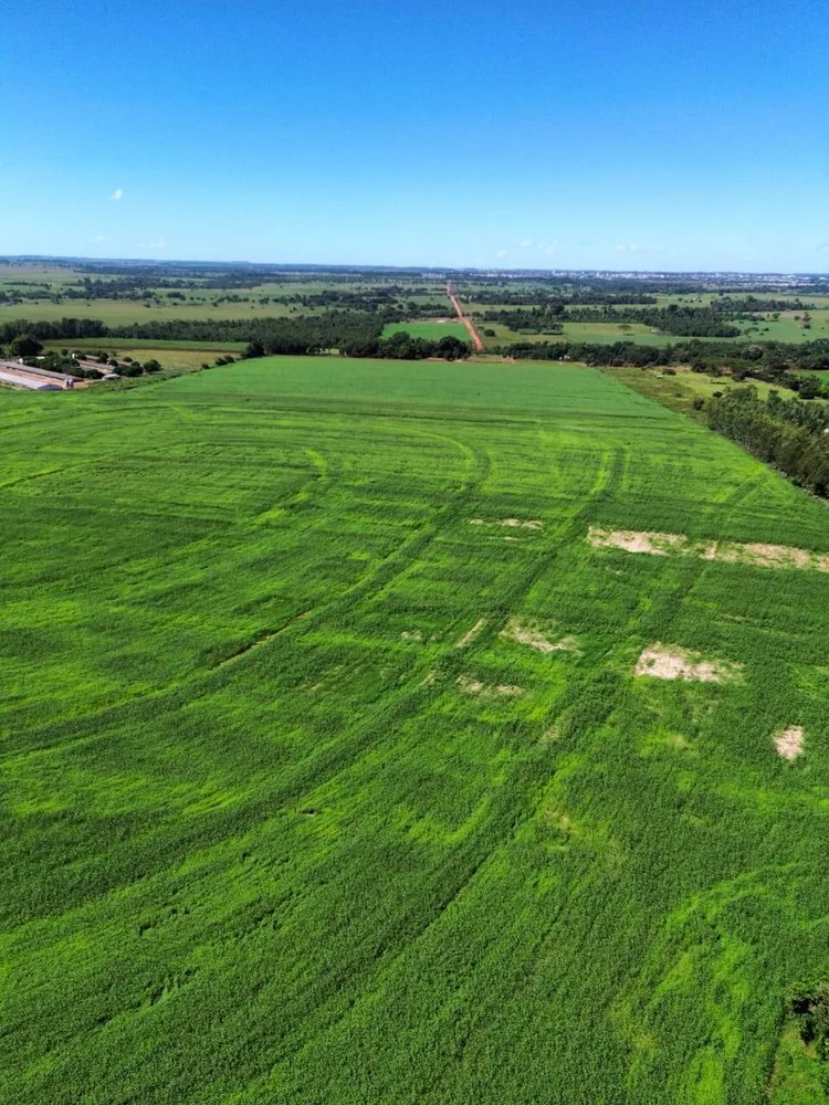 Terreno, 38 hectares - Foto 1