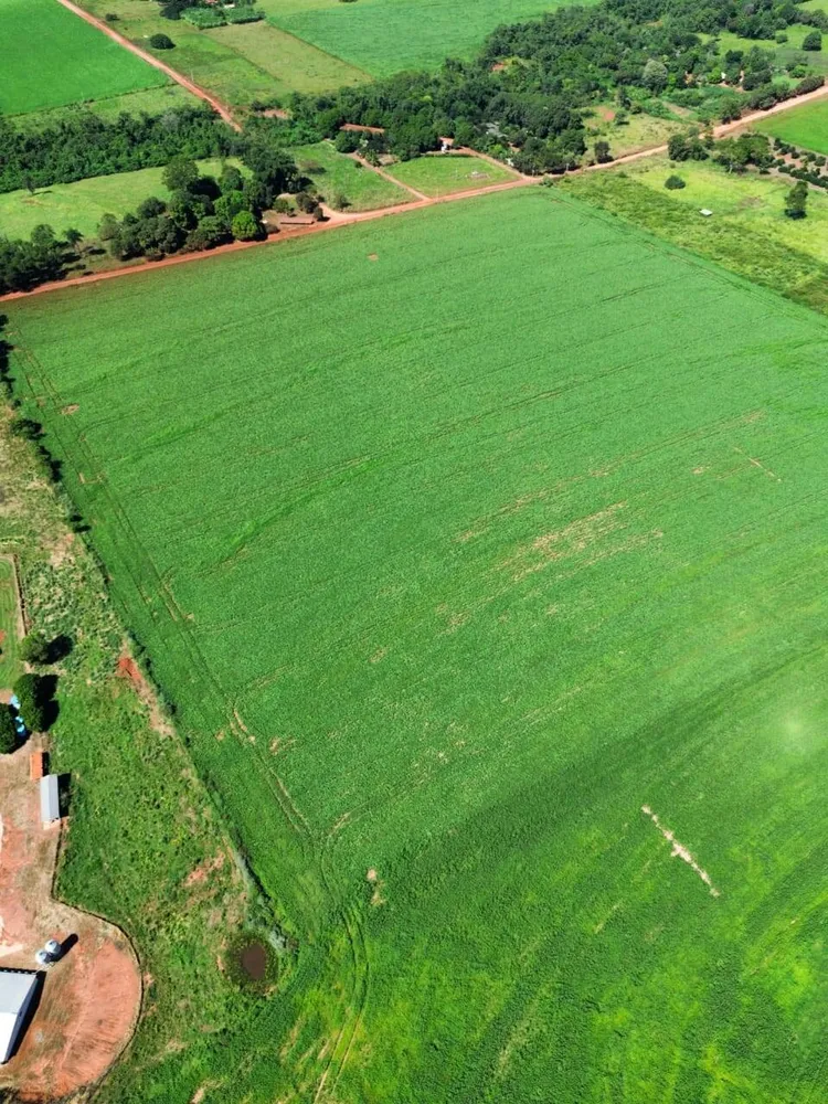 Terreno, 38 hectares - Foto 8