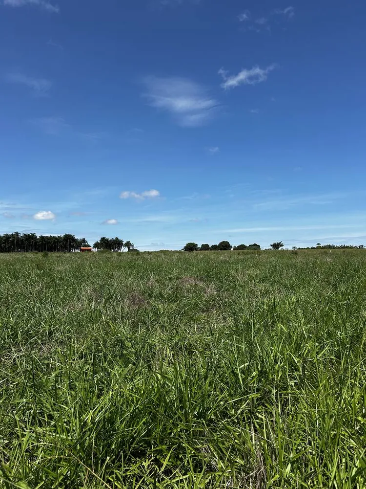 Terreno - Foto 6