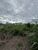 Terreno, 675 m² - Foto 3